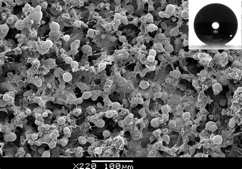 electron microscope image of water molecule